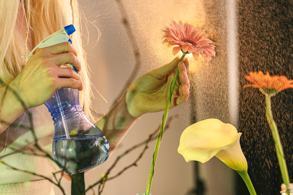 Close-up of a woman's hands holding and spraying delicate flowers with water.